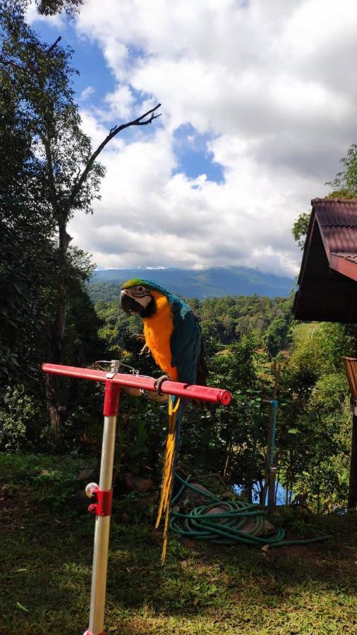 Peamoo Homestay Чом Тхонг Экстерьер фото